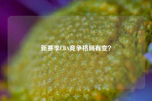 新赛季CBA竞争格局有变？