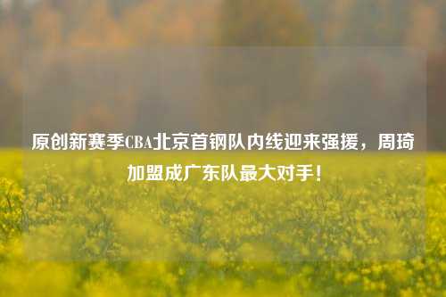 原创新赛季CBA北京首钢队内线迎来强援，周琦加盟成广东队最大对手！