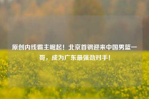 原创内线霸主崛起！北京首钢迎来中国男篮一哥，成为广东最强劲对手！