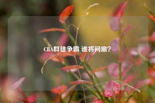 CBA群雄争霸 谁将问鼎？