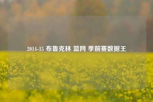 2014-15 布鲁克林 篮网 季前赛数据王