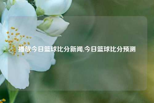 播放今日篮球比分新闻,今日篮球比分预测