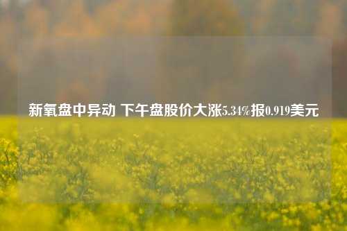 新氧盘中异动 下午盘股价大涨5.34%报0.919美元