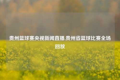 贵州篮球赛央视新闻直播,贵州省篮球比赛全场回放