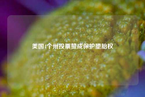 美国4个州投票赞成保护堕胎权