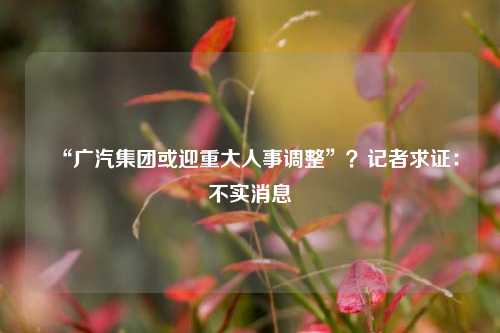 “广汽集团或迎重大人事调整”？记者求证：不实消息