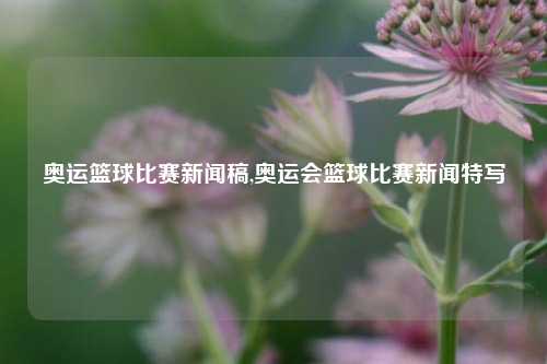 奥运篮球比赛新闻稿,奥运会篮球比赛新闻特写