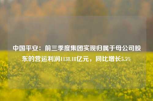 中国平安：前三季度集团实现归属于母公司股东的营运利润1138.18亿元，同比增长5.5%