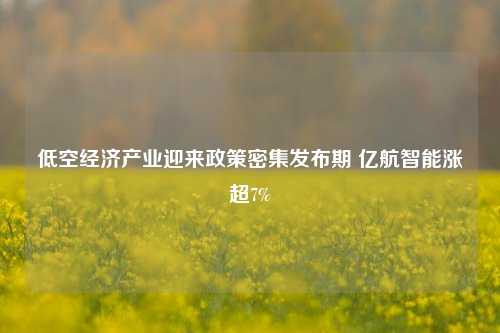 低空经济产业迎来政策密集发布期 亿航智能涨超7%