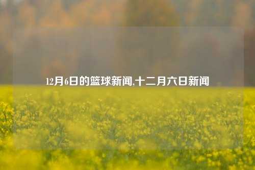 12月6日的篮球新闻,十二月六日新闻