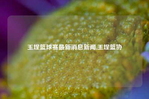 玉埕篮球赛最新消息新闻,玉埕篮协