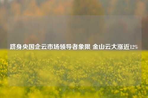 跻身央国企云市场领导者象限 金山云大涨近12%