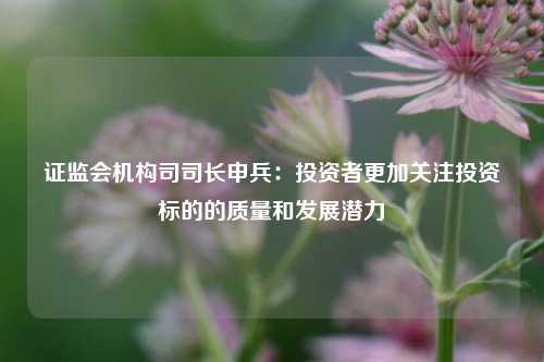 证监会机构司司长申兵：投资者更加关注投资标的的质量和发展潜力