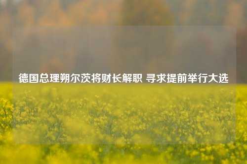 德国总理朔尔茨将财长解职 寻求提前举行大选