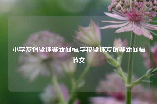 小学友谊篮球赛新闻稿,学校篮球友谊赛新闻稿范文