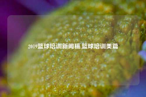 2019篮球培训新闻稿,篮球培训美篇