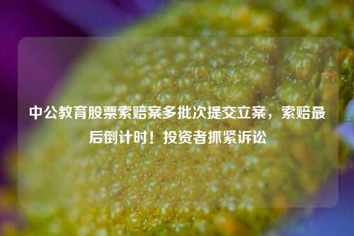 中公教育股票索赔案多批次提交立案，索赔最后倒计时！投资者抓紧诉讼