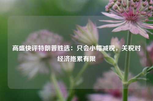 高盛快评特朗普胜选：只会小幅减税，关税对经济拖累有限