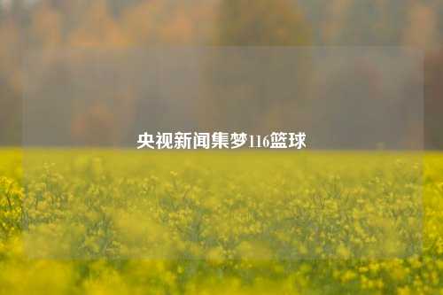 央视新闻集梦116篮球