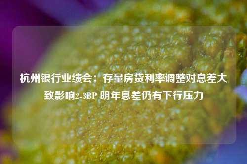 杭州银行业绩会：存量房贷利率调整对息差大致影响2-3BP 明年息差仍有下行压力