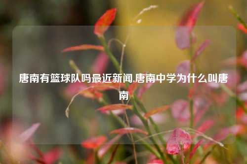 唐南有篮球队吗最近新闻,唐南中学为什么叫唐南