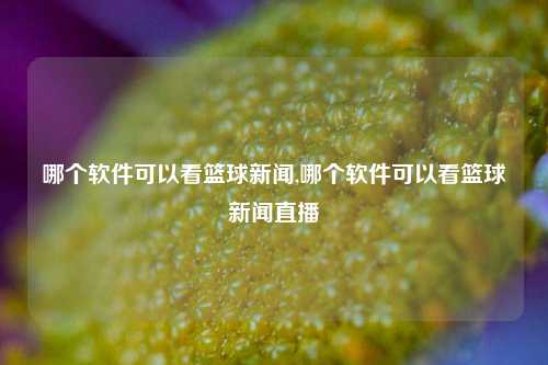 哪个软件可以看篮球新闻,哪个软件可以看篮球新闻直播