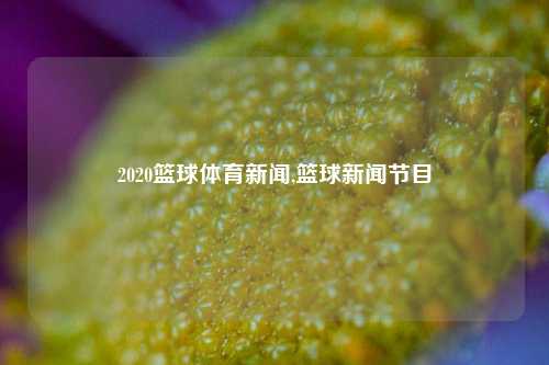 2020篮球体育新闻,篮球新闻节目