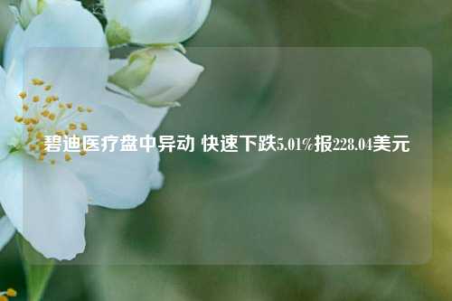 碧迪医疗盘中异动 快速下跌5.01%报228.04美元