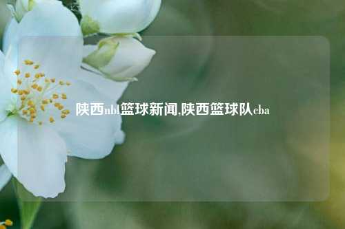 陕西nbl篮球新闻,陕西篮球队cba