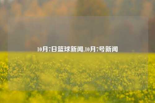 10月7日篮球新闻,10月7号新闻