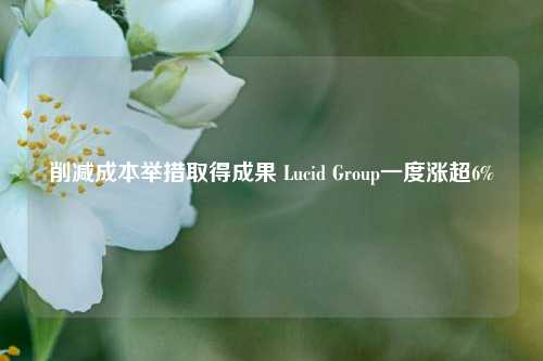 削减成本举措取得成果 Lucid Group一度涨超6%