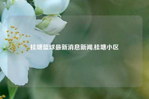 桂塘篮球最新消息新闻,桂塘小区