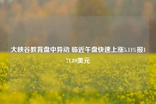 大峡谷教育盘中异动 临近午盘快速上涨5.11%报171.89美元