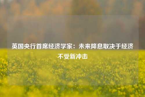 英国央行首席经济学家：未来降息取决于经济不受新冲击