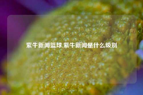 紫牛新闻篮球,紫牛新闻是什么级别