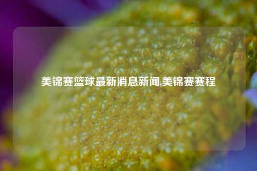 美锦赛篮球最新消息新闻,美锦赛赛程