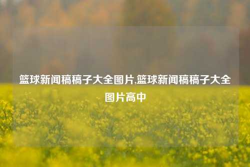 篮球新闻稿稿子大全图片,篮球新闻稿稿子大全图片高中