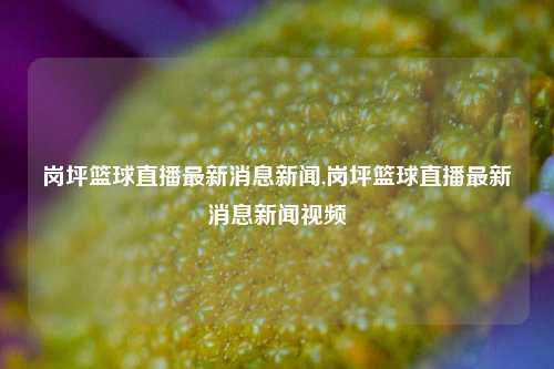 岗坪篮球直播最新消息新闻,岗坪篮球直播最新消息新闻视频