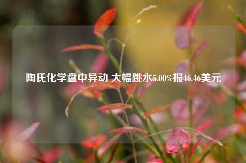 陶氏化学盘中异动 大幅跳水5.00%报46.46美元