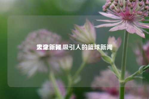 篮球新闻
大全新颖,吸引人的篮球新闻
