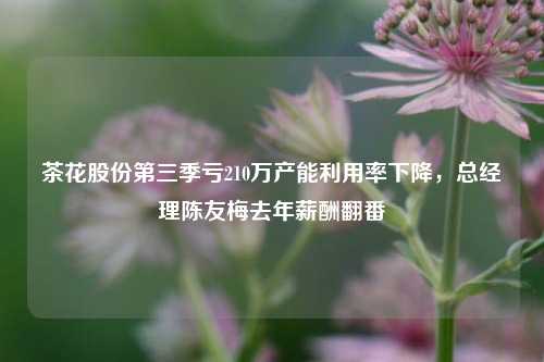 茶花股份第三季亏210万产能利用率下降，总经理陈友梅去年薪酬翻番