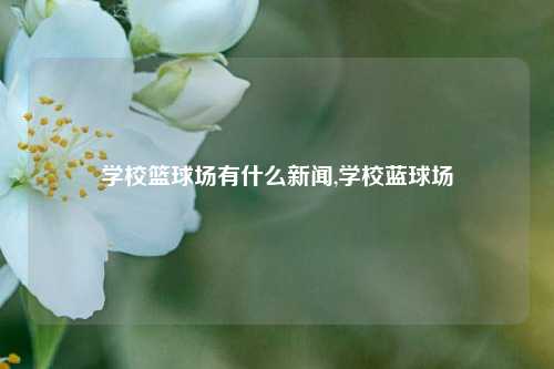 学校篮球场有什么新闻,学校蓝球场