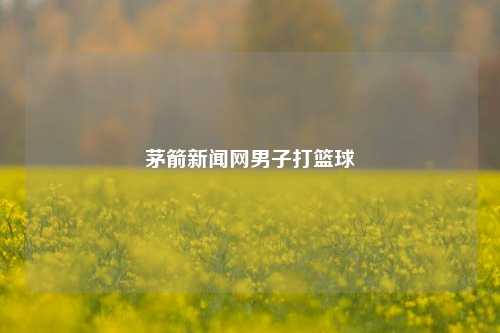 茅箭新闻网男子打篮球