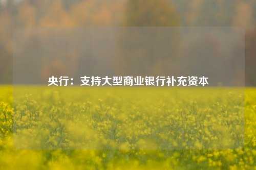 央行：支持大型商业银行补充资本