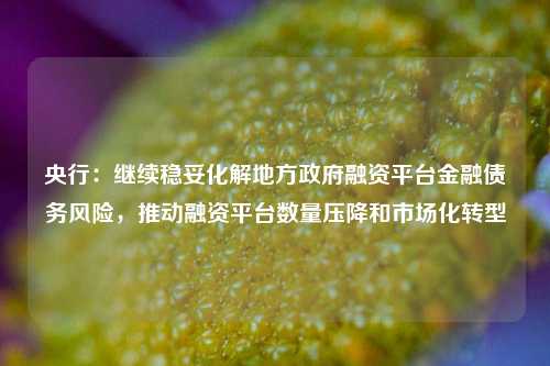 央行：继续稳妥化解地方政府融资平台金融债务风险，推动融资平台数量压降和市场化转型