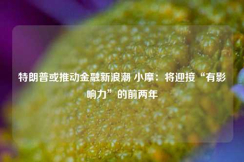 特朗普或推动金融新浪潮 小摩：将迎接“有影响力”的前两年