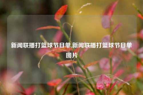 新闻联播打篮球节目单,新闻联播打篮球节目单图片