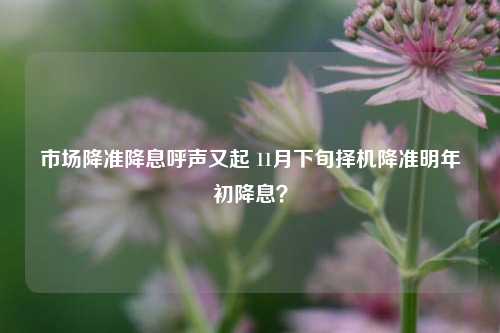 市场降准降息呼声又起 11月下旬择机降准明年初降息？