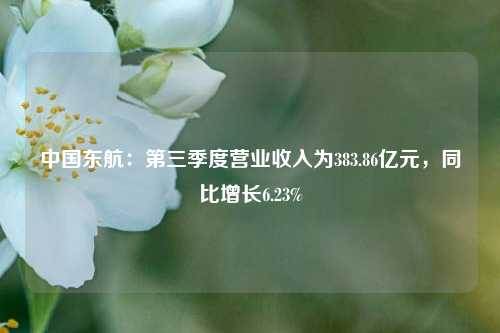 中国东航：第三季度营业收入为383.86亿元，同比增长6.23%