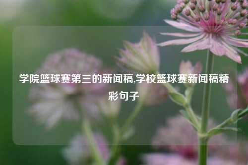 学院篮球赛第三的新闻稿,学校篮球赛新闻稿精彩句子